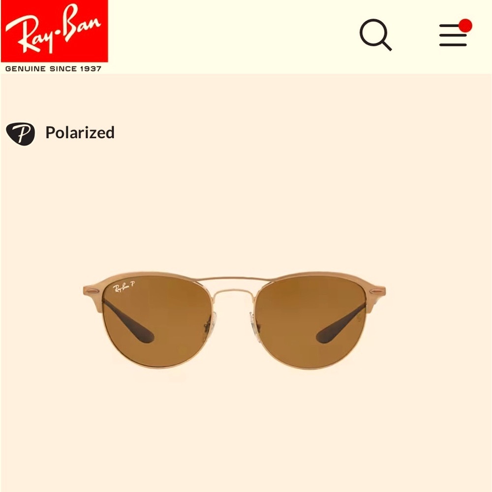 NWT Ray-Band polarized sunglasses